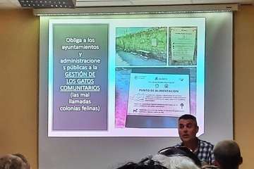 Más por Telde analiza y debate la nueva Ley de Protección y Bienestar Animal/TA.